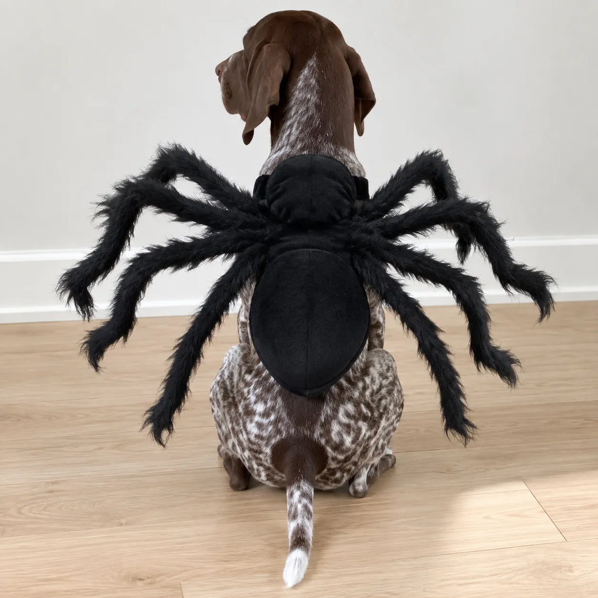 Halloween Plush Spider Pet Costumes