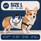 Purse – Hands-Free Pet Carrier & Harness